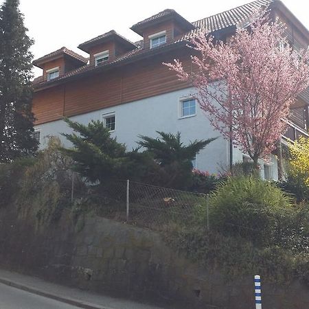 Mayerhofer House Linz Kültér fotó