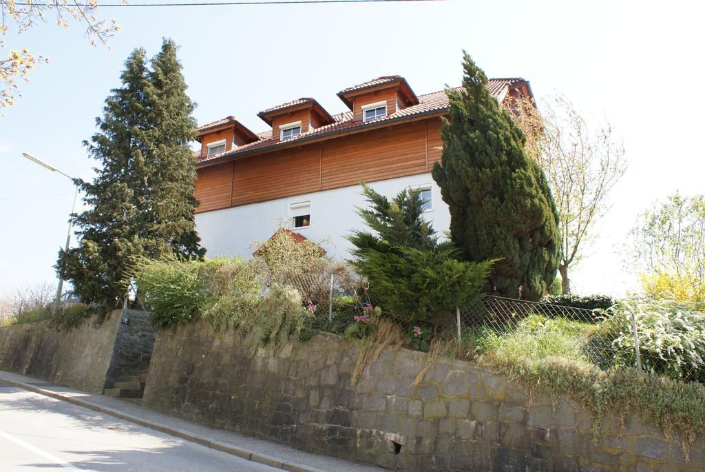 Mayerhofer House Linz Szoba fotó