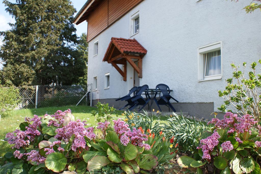 Mayerhofer House Linz Szoba fotó