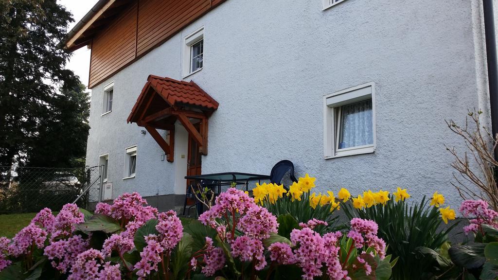 Mayerhofer House Linz Kültér fotó