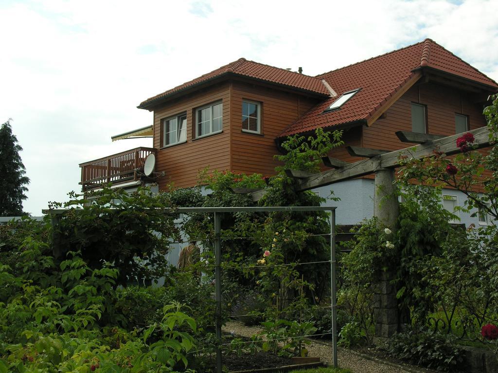 Mayerhofer House Linz Kültér fotó